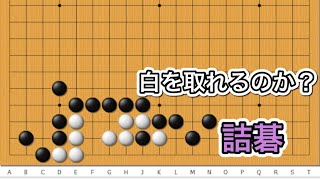 【囲碁】詰碁講座〜玄玄碁経編〜江戸時代から伝わる問題に挑戦～No828