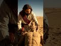 the beautiful creation, Man #youtubeshorts #viral
