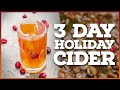 MULLED CRANBERRY CIDER: How to Make a Hard Cider in 3 Days!