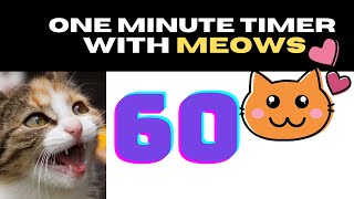 One minute timer with #cat sound effects!