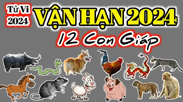 Vận Hạn 2024 | Tử Vi 2024 của 12 con giáp - Năm Giáp Thìn 2024