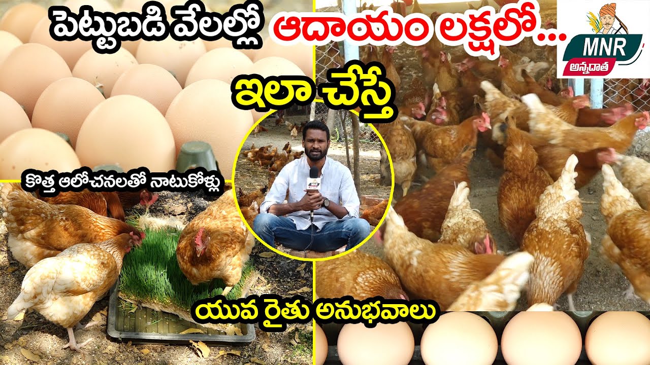 పెట్టుబడి వేలల్లో ఆదాయం లక్షల్లో | Organic egg production | Poultry Farming Ideas | MNR Annadatha