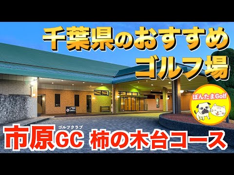 【楽しいコースはここ‼︎】市原ゴルフクラブ柿の木台コース 前半戦OUTコース