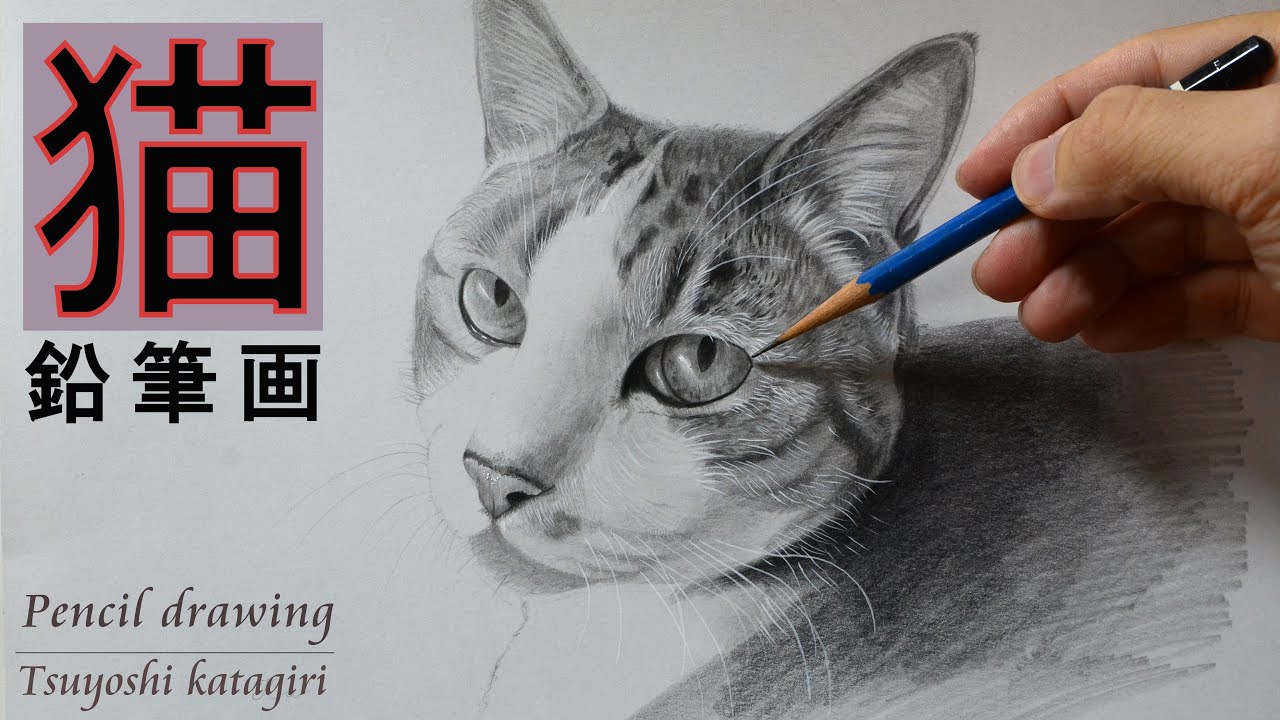 鉛筆画 リアルな猫を描いてみた 描き方 コツ 鉛筆デッサン スケッチ 写実絵画 ドローイング Pencil Drawing Youtube