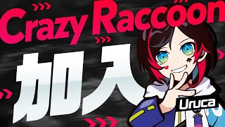 【APEX】プロチームCrazy Raccoonに加入しました！