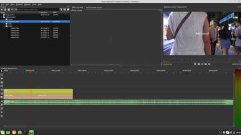 Olive Video Editor Tutorial - Add sound