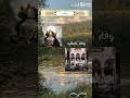 سبع طوال انزلت ممكن اشتراك شكرا على كل شيء 