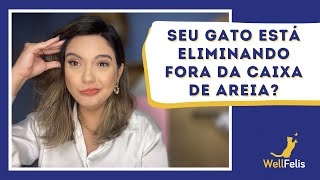 Se gato está eliminando fora da caixa de areia?