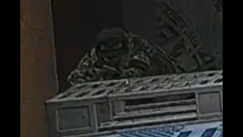 this is what desync looks like in escape from tarkov