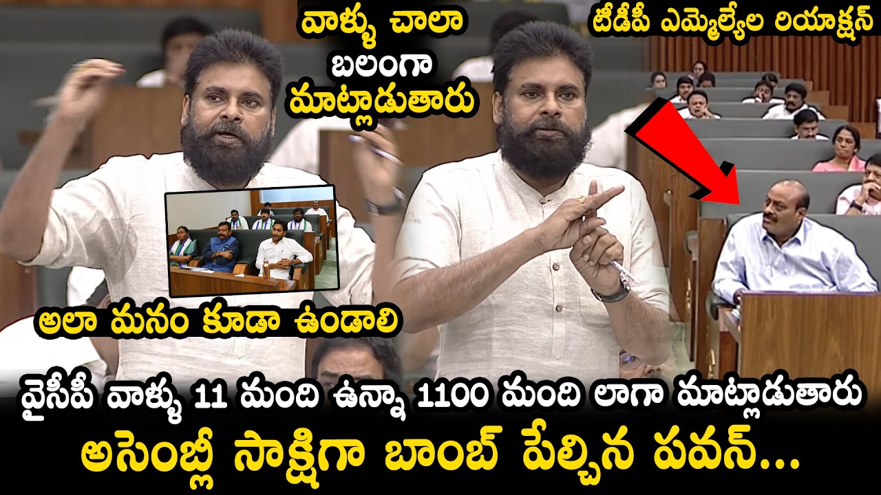 Deputy CM Pawan Kalyan Interesting Comments On YCP MLAS In Assembly | YS Jagan | TDP MLA Reactions