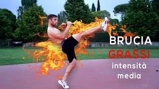 Brucia Grassi | Allenamento Completo | Intensità Media | Senza Pesi screenshot 1