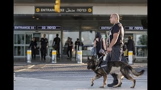 Pelecehan Wanita Palestina Rutin Dilakukan Petugas Keamanan Bandara Israel