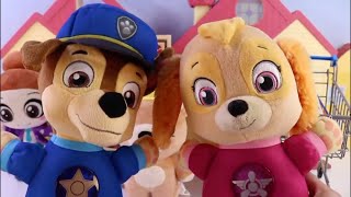 Colorea libros de artes con Paw Patrol Skye y Chase