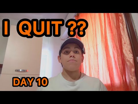 Spring Bulk Day 10 - New Updates