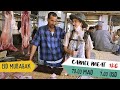 THE BEST CAMEL MEAT in Morocco