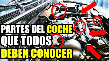 ¿Cómo está compuesto el auto?