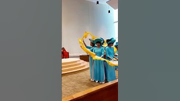 MỪNG 25 NĂM CHA JB NGUYỄN ĐỨC VƯỢNG _ GIÁO XỨ THÁNH VINH SƠN LIÊM || 25 YEARS ANNIVERSARY (part 2/2)