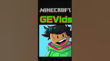 Minecraft Reality: If Saving a Wither Skeleton was a choice