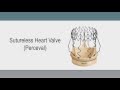 Sutureless heart valve microsite launches at heartvalvesurgerycom