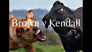 Introduction to Torts | Intentional Torts Versus Negligence Explained | Brown v Kendall