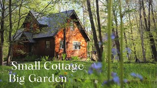 Our Tiny Cottage - Springtime Woodland Garden Tour