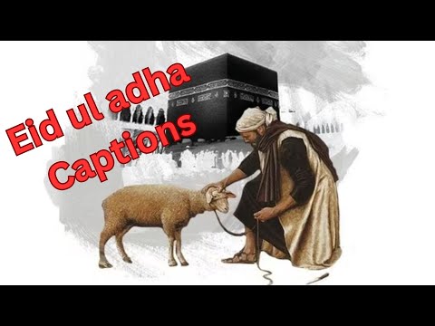 Eid-ul-adha Captions and Quotes for Instagram quotes caption instagramcaption