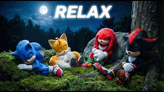 Deep Sleep with Team Sonic & Shadow 💤 Relaxing Forest Ambience | 10 Hours Nature Sound screenshot 1