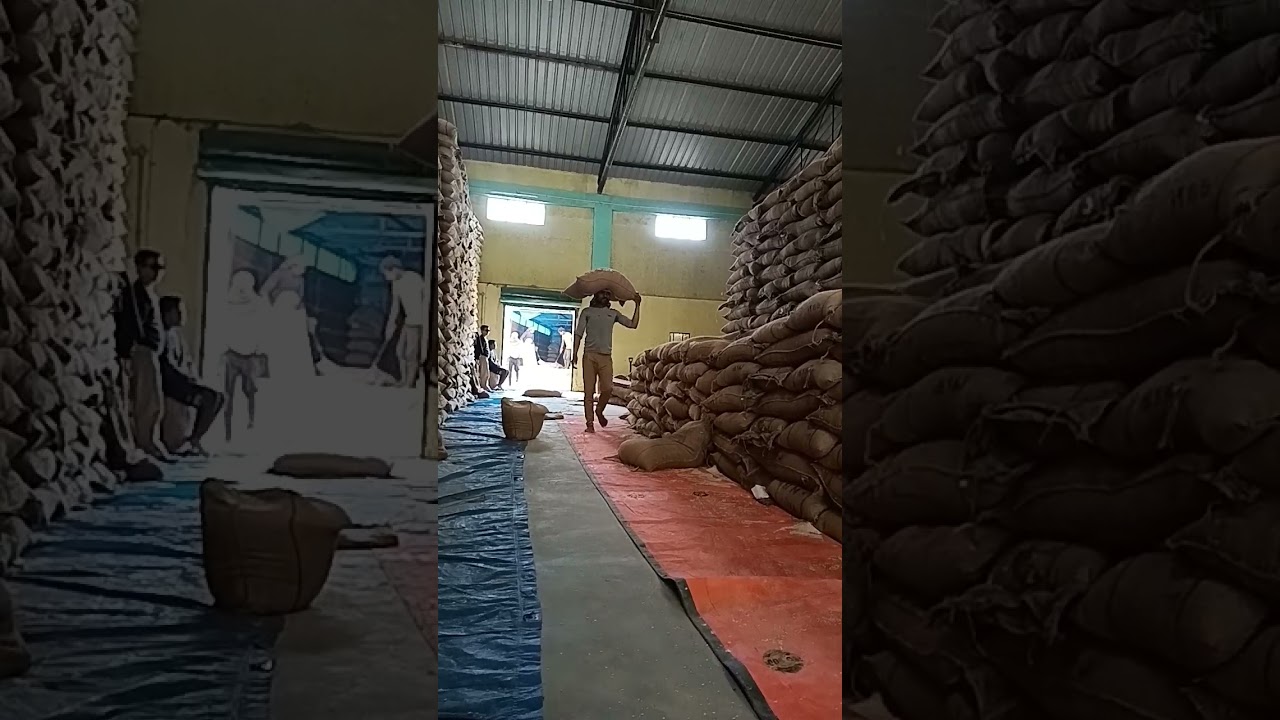 stronger labour in jamiri FCI