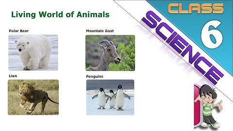 LIVING WORLD OF ANIMALS - VI STD - SCIENCE - PART 4