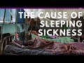 Nobel Prize Explained: The Frightening Sleeping Sickness