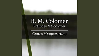 Prelude in D Minor, No. 24: Aria