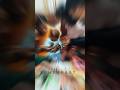 HAPPY BIRTHDAY #new #viralshorts #video #youtubeshorts #trending #song #shortvideo