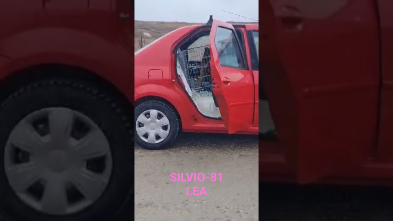 "Infractor"la masina-LEA este pe faza😜