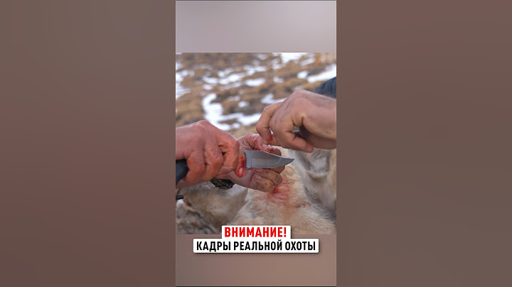 Невероятный выстрел на 735 метров! / Охота в Иране #трофейнаяохота  #охота