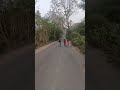 riya fitness #india #ytshorts #youtubevideo #track #shorts #new #2026 #viral #trending 🙏🙏🙏👍