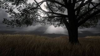 Dark Thunderstorm Approaching a Lone Tree in the Fields | Calm Before the Storm | 8 HOURS | NO AI