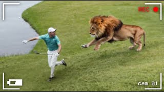 Животные, Которые Полностью разрушили Спортивные игры