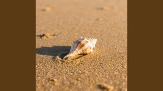 Shell On The Beach