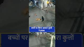 Viral Video | कुत्तों के झुंड ने बच्चों पर किया हमला, चीख सुन पहुंचे महिला ने बचाई जान