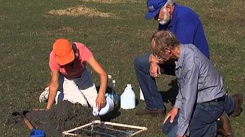 Sampling for Mole Crickets