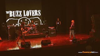 The Buzz Lovers - Tributo a Nirvana