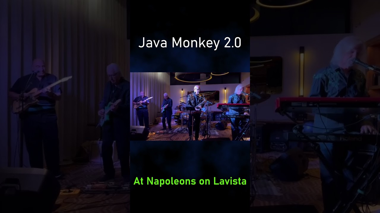 JAVA MONKEY 2.0 Tuesday at Napoleons - food, drinks, friends, and music #shorts