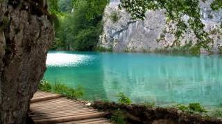 الشيخ عادل ريان - المزمل