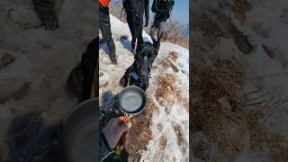 운문산 정상에서 물먹방 등산하는개 강아지먹방 개먹방 dogs