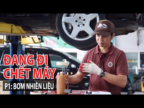 Video: Rơ le bơm nhiên liệu được đặt trên xe Toyota Camry 1992 ở đâu?