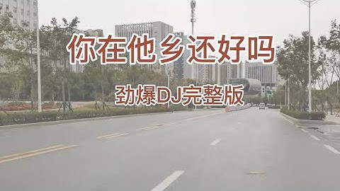 庄妮《你在他乡还好吗》DJ阿远完整版