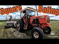 Square Baling Second Crop Hay 2021/Allis Chalmers 200 Tractor on a New Idea Square Baler