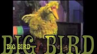 Moleman's Epic Rap Battles #8: Big Bird Vs. Winnie the Pooh (OLD VERSION)
