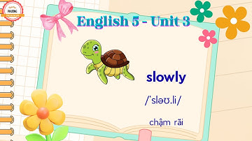 English 5 - Unit 3 ( Từ vựng Tiếng Anh lớp 5 - Unit 3 - I Learn Smart Start)