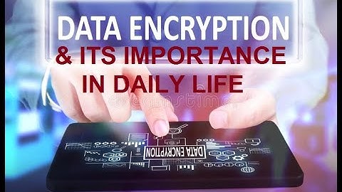 What is Encryption and its importance in daily life on internet. Class 9th, Computer Science, Unit 4